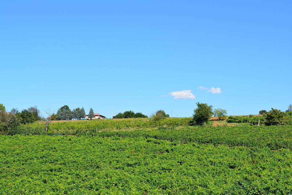 Villa Le Stanze Di Bacco à Monteveglio Extérieur photo