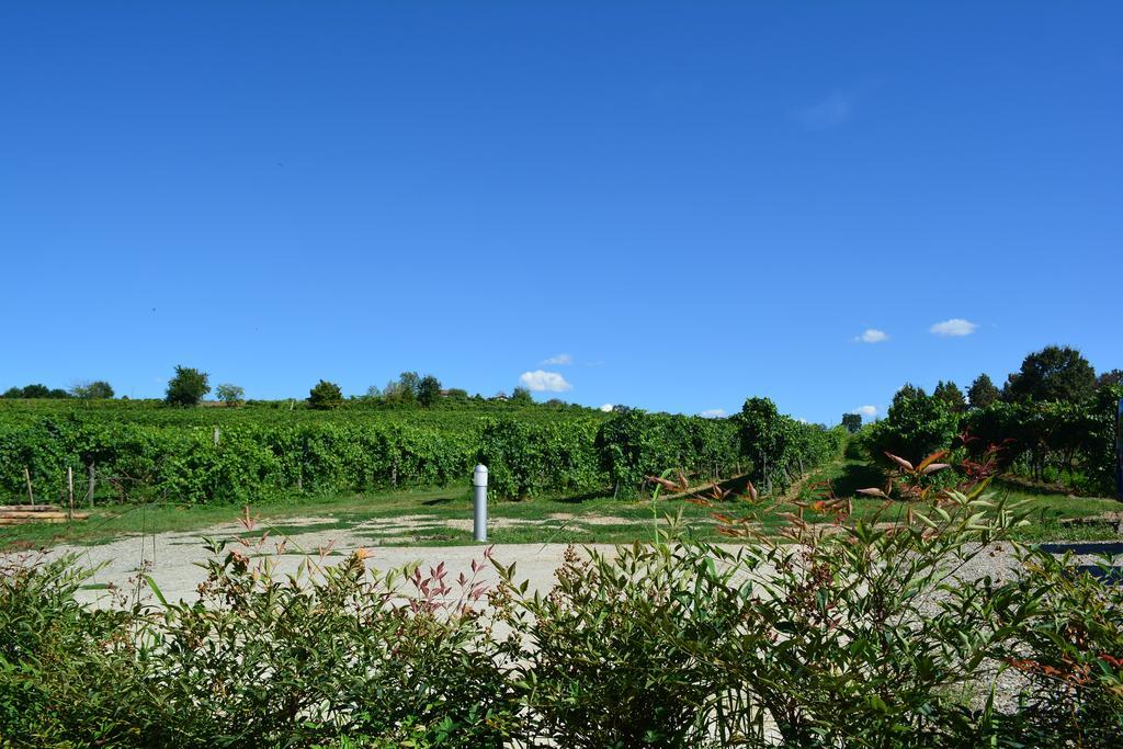 Villa Le Stanze Di Bacco à Monteveglio Extérieur photo