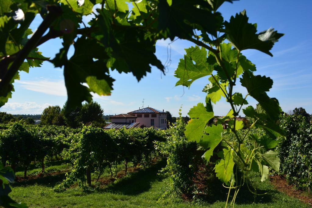 Villa Le Stanze Di Bacco à Monteveglio Extérieur photo