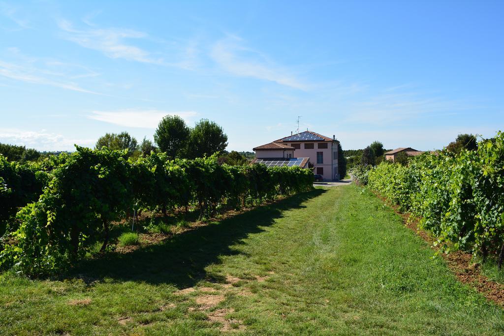 Villa Le Stanze Di Bacco à Monteveglio Extérieur photo